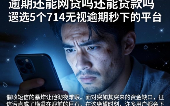 逾期还能网贷吗还能贷款吗，遴选5个714无视逾期秒下的平台