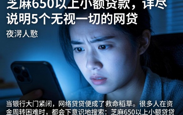 芝麻650以上小额贷款，详尽说明5个无视一切的网贷