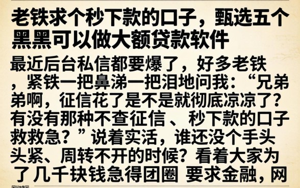 老铁求个秒下款的口子，甄选五个黑户可以做大额贷款软件