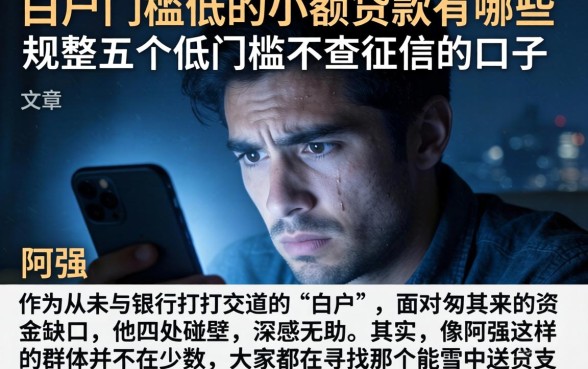 白户门槛低的小额贷款有哪些，规整五个低门槛不查征信的口子