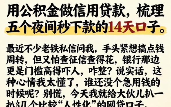 用公积金做信用贷款,梳理五个夜间秒下款的14天口子