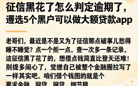 征信黑花了怎么判定逾期了,遴选5个黑户可以做大额贷款app
