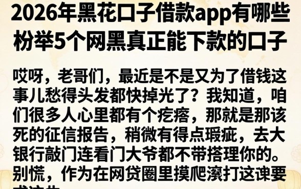 2026年黑花口子借款app有哪些，枚举5个网黑真正能下款的口子