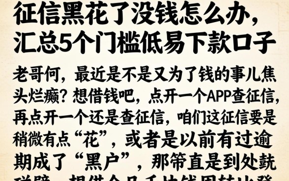 征信黑花了没钱怎么办，汇总5个门槛低易下款口子