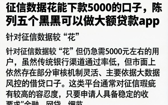 征信数据花能下款5000的口子，陈列五个黑户可以做大额贷款app