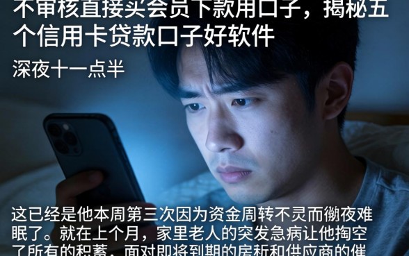 不审核直接买会员下款的口子，揭秘五个信用卡贷款口子好软件