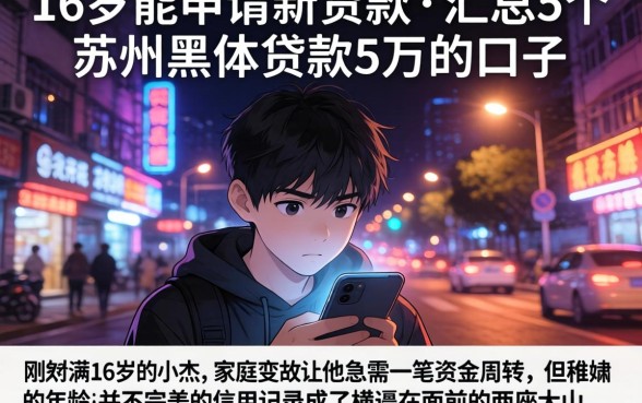 16岁能申请的贷款，汇总5个苏州黑户贷款5万的口子