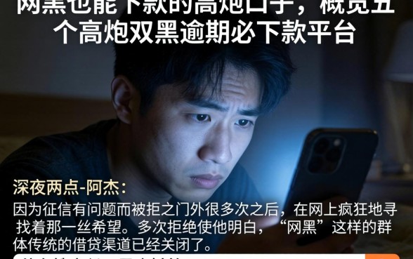 网黑也能下款的高炮口子，概览五个高炮双黑逾期必下款平台