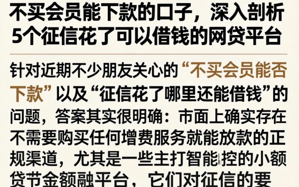 不买会员能下款的口子，深入剖析5个征信花了可以借钱的网贷平台