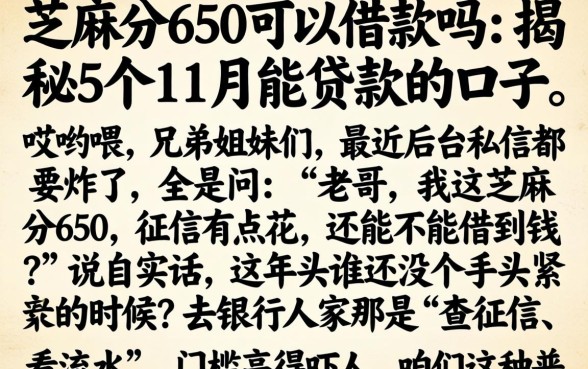 芝麻分650可以借款吗，揭秘5个11月能贷款的口子