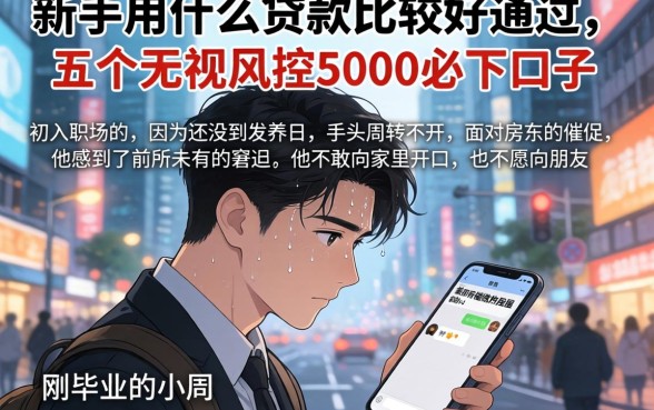新手用什么贷款比较好通过，枚举五个无视风控5000必下口子