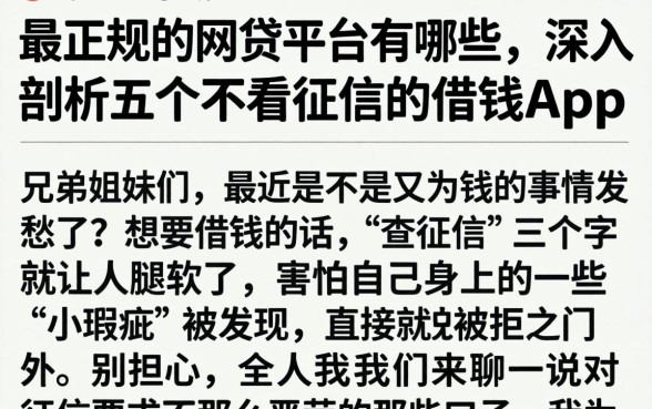 最正规的网贷平台有哪些，深入剖析五个不看征信的借钱app
