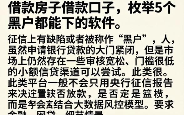 借款房子借款口子，枚举5个黑户都能下的软件