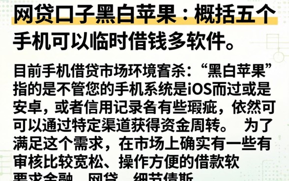 网贷口子黑白苹果，概括五个手机可以临时借钱的软件