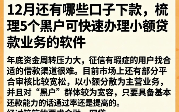 12月还有哪些口子下款，梳理5个黑户可快速办理小额贷款业务的软件
