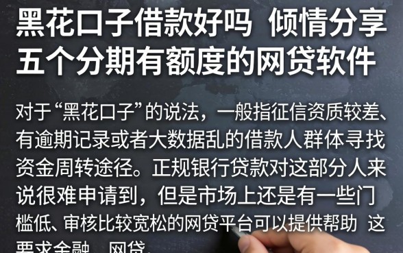 黑花口子借款好吗，倾情分享五个分期有额度的网贷软件