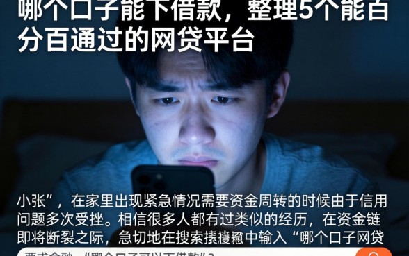 哪个口子能下借款，整理5个能百分百通过的网贷平台