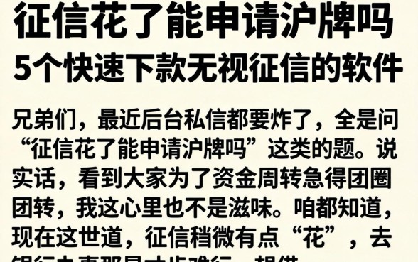 征信花了能申请沪牌吗，归纳5个快速下款无视征信的软件