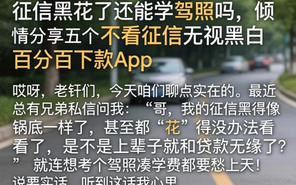 征信黑花了还能学驾照吗，倾情分享五个不看征信无视黑白百分百下款app