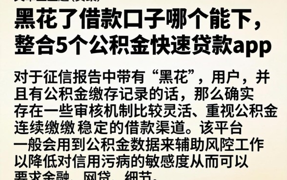 黑花了借款口子哪个能下，整合5个公积金快速贷款app
