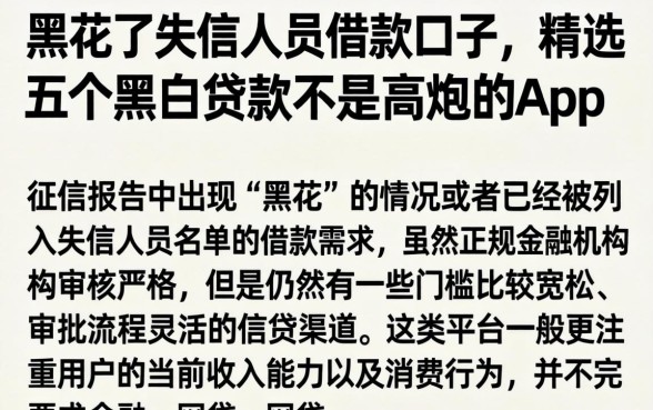 黑花了失信人员借款口子，精选五个黑白贷款不是高炮的app