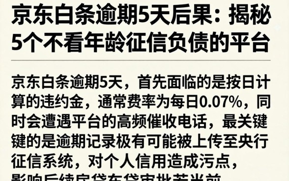 京东白条逾期5天的后果，揭秘5个不看年龄征信负债的平台