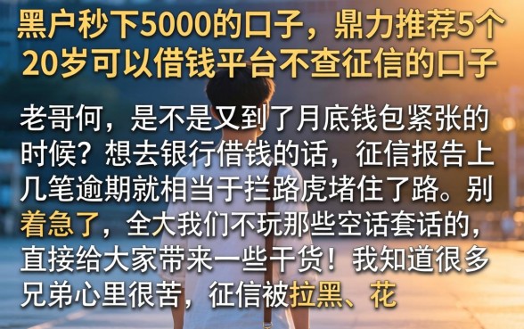 黑户秒下5000的口子，鼎力推荐5个20岁可以借钱平台不查征信的口子