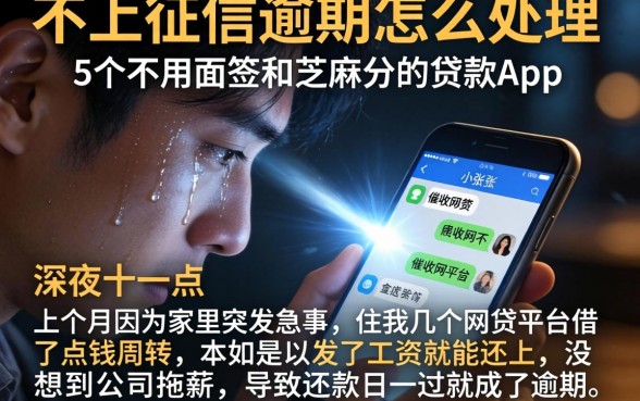不上征信逾期怎么处理，整合5个不用面签和芝麻分的贷款app