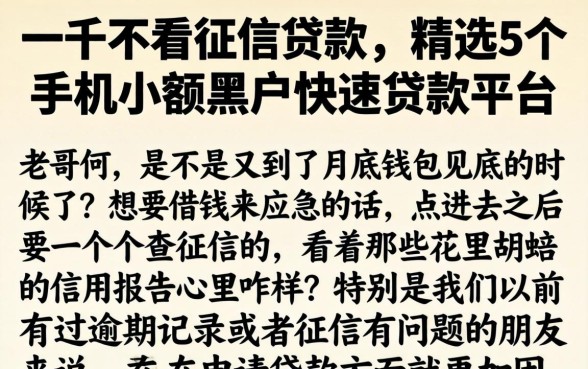 一千不看征信贷款，精选5个手机小额黑户快速贷款平台