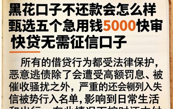 黑花口子不还款会怎么样，甄选五个急用钱5000快审快贷无需征信口子