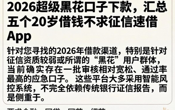 2026超级黑花口子下款，汇总五个20岁借钱不求征信速借app