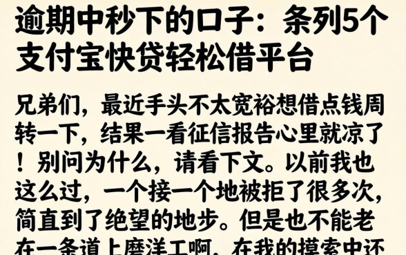 逾期中秒下的口子，条列5个支付宝快贷轻松借平台