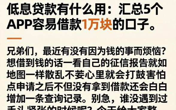 低息贷款有什么用，汇总5个APP容易借款1万块的口子