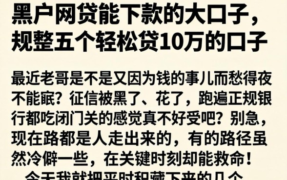 黑户网贷能下款的大口子，规整五个轻松贷10万的口子