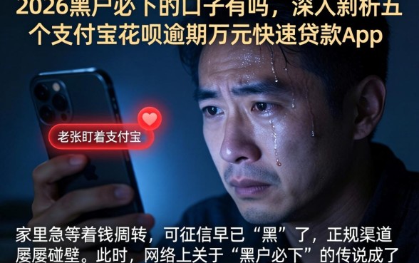 2026黑户必下的口子有吗，深入剖析五个支付宝花呗逾期万元快速贷款app