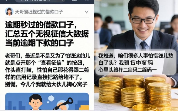 逾期秒过的借款口子，汇总五个无视征信大数据当前逾期下款的口子