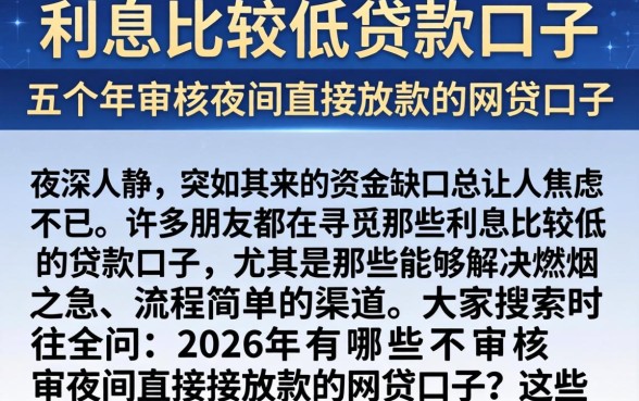 利息比较低的贷款口子，详细阐述五个不审核夜间直接放款的网贷口子