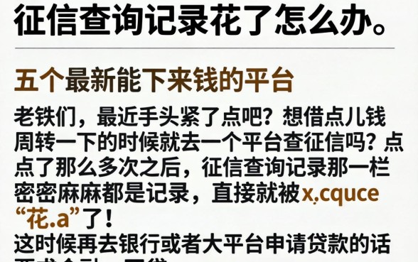 征信查询记录花了怎么办，罗列五个最新能下来钱的平台