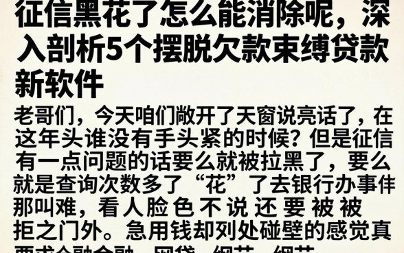 征信黑花了怎么能消除呢，深入剖析5个摆脱欠款束缚贷款新软件