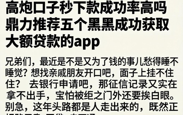 高炮口子秒下款成功率高吗，鼎力推荐五个黑户成功获取大额贷款的app