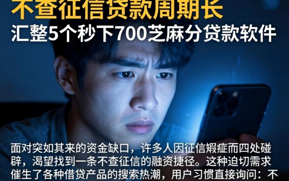 不查征信贷款周期长，汇整5个秒下700芝麻分贷款软件