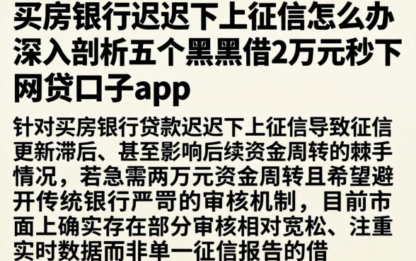买房银行迟迟不上征信怎么办，深入剖析五个黑户借2万元秒下网贷口子app