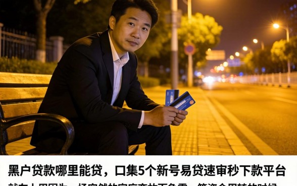 黑户贷款哪里能贷,归集5个新号易贷速审秒下款平台
