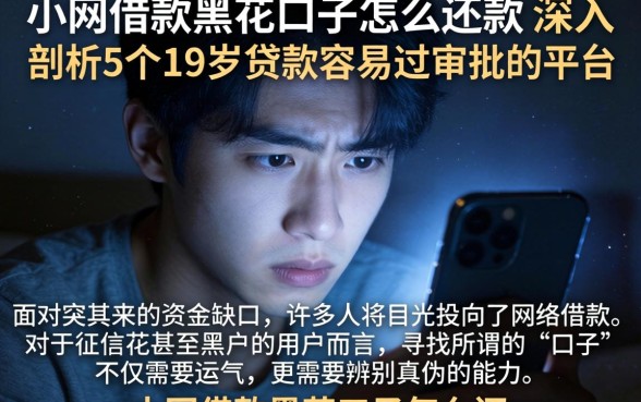 小网借款黑花口子怎么还款，深入剖析5个19岁贷款容易过审批的平台