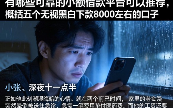 有哪些可靠的小额借款平台可以推荐，概括五个无视黑白下款8000左右的口子