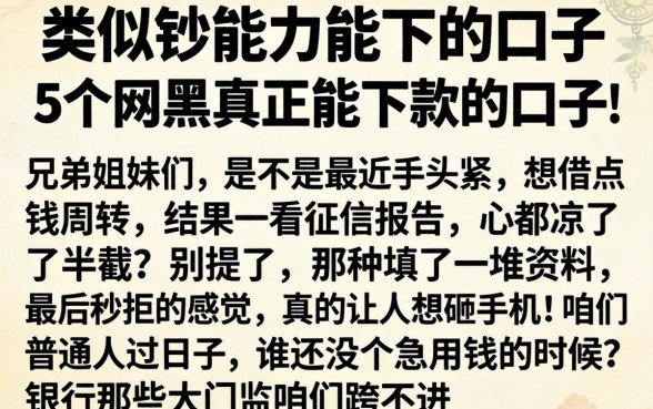 类似钞能力能下的口子，概括5个网黑真正能下款的口子