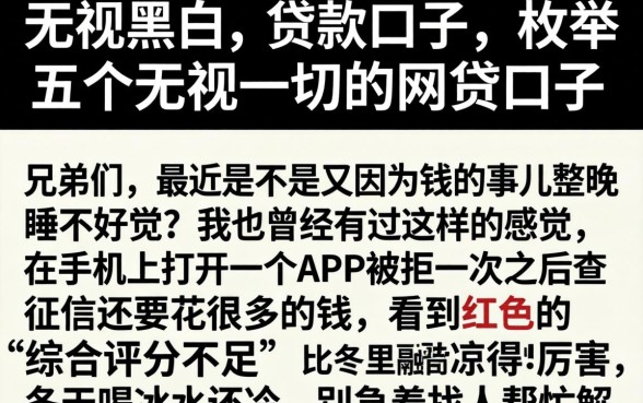 无视黑白的贷款口子，枚举五个无视一切的网贷口子