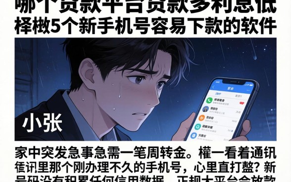 哪个贷款平台贷款多利息低，枚举5个新手机号容易下款的软件