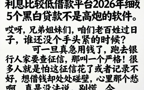 利息比较低的借款平台2026年，细致阐述5个黑白贷款不是高炮的软件