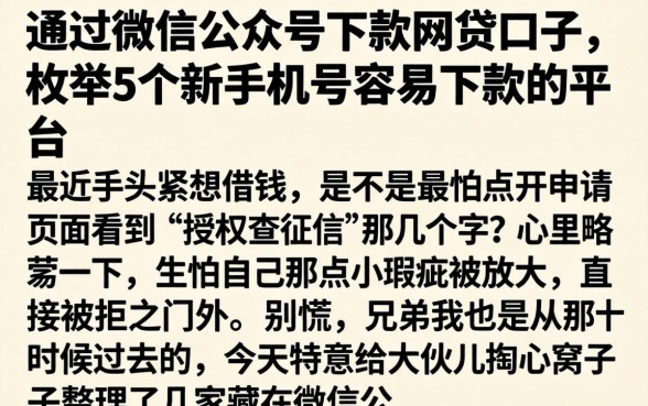 通过微信公众号下款的网贷口子,枚举5个新手机号容易下款的平台